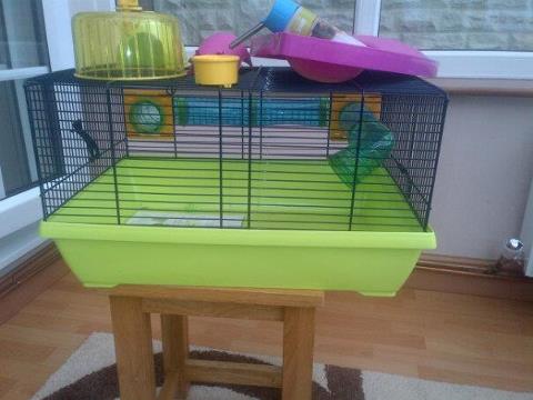 Attached picture hamster cage.jpg